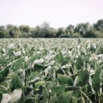 Scott Hanselman dezvoltă funcția de conturi locale Windows.