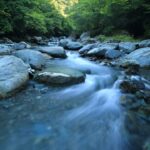 River Wye Gains New Rights Against Pollution