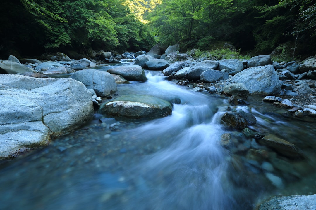 River Wye Gains New Rights Against Pollution