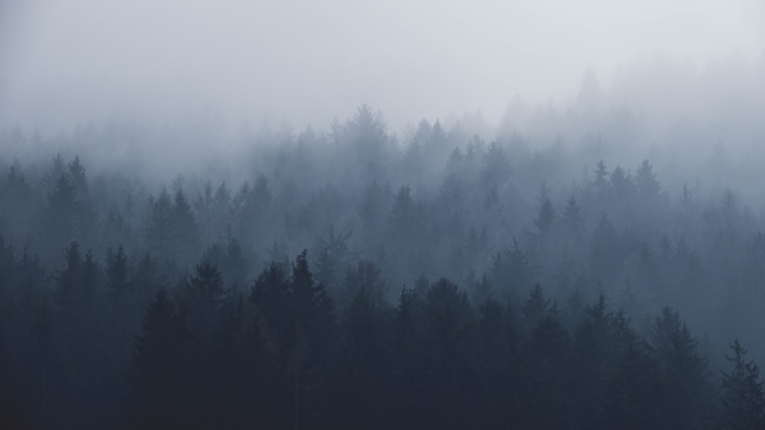 Descoperiți alternative SaaS gratuite și open-source cu AltFreeStack